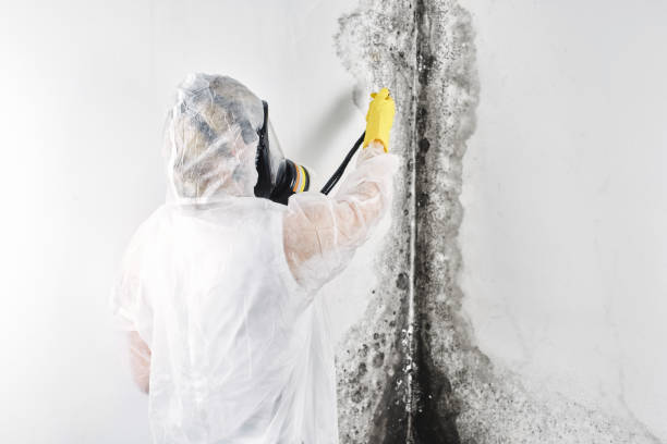 Best Water damage restoration company  in Southwest Greensburg, PA